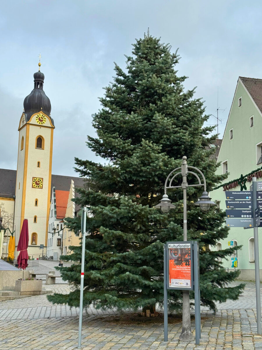 Kolorado-Tanne schmückt Marktplatz in Schwandorf