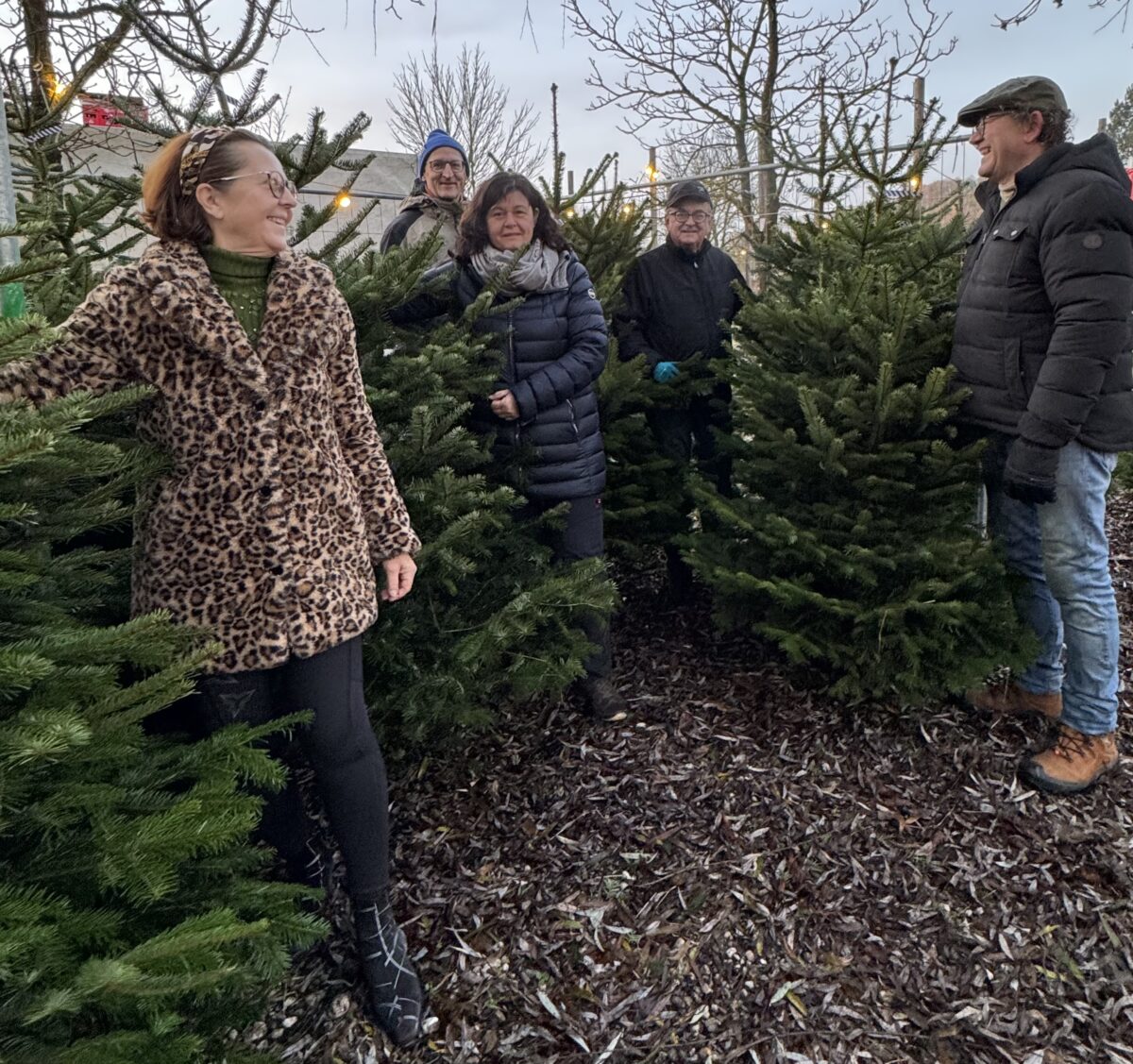 Lions starten Christbaumverkauf für soziale Projekte in Amberg