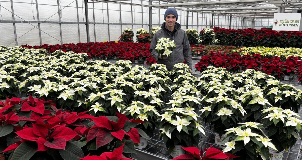 Gärtnerei Steinhilber in Neustadt/WN wagt großen Schritt zum Gartenmarkt