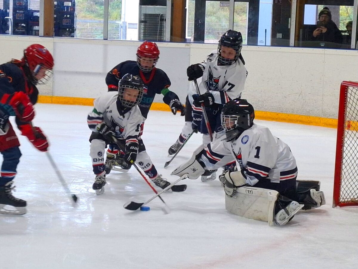 Young Blue Devils glänzen mit Siegen und Fairplay