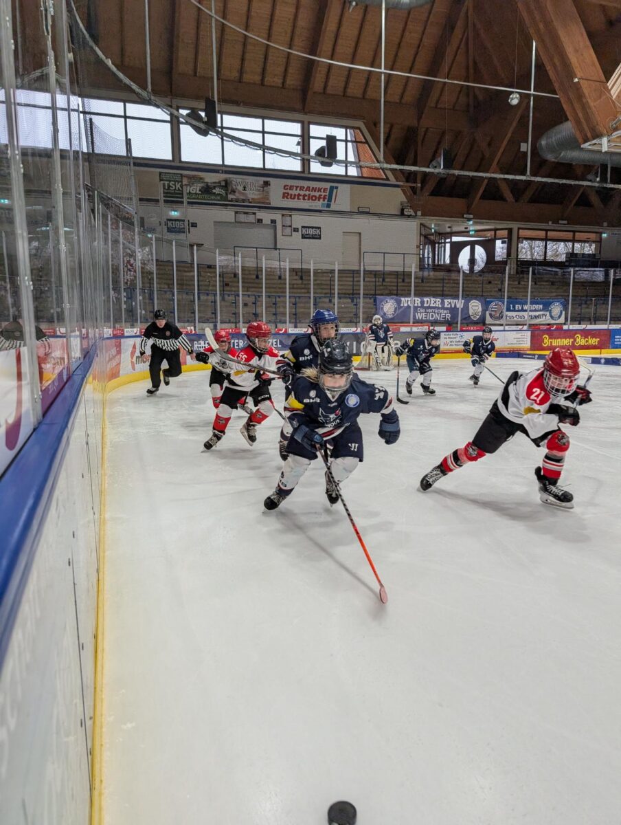 Young Blue Devils: Erfolge und Rückschläge für Weidens Eishockey-Nachwuchs