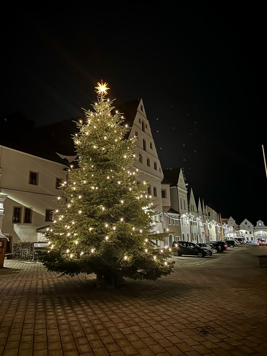 Gespendeter Christbaum schmückt Platz vor Landratsamt in Neustadt