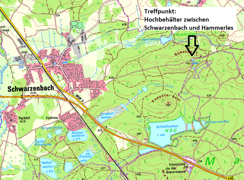 Kiefernwald im Klimawandel - Infoveranstaltung