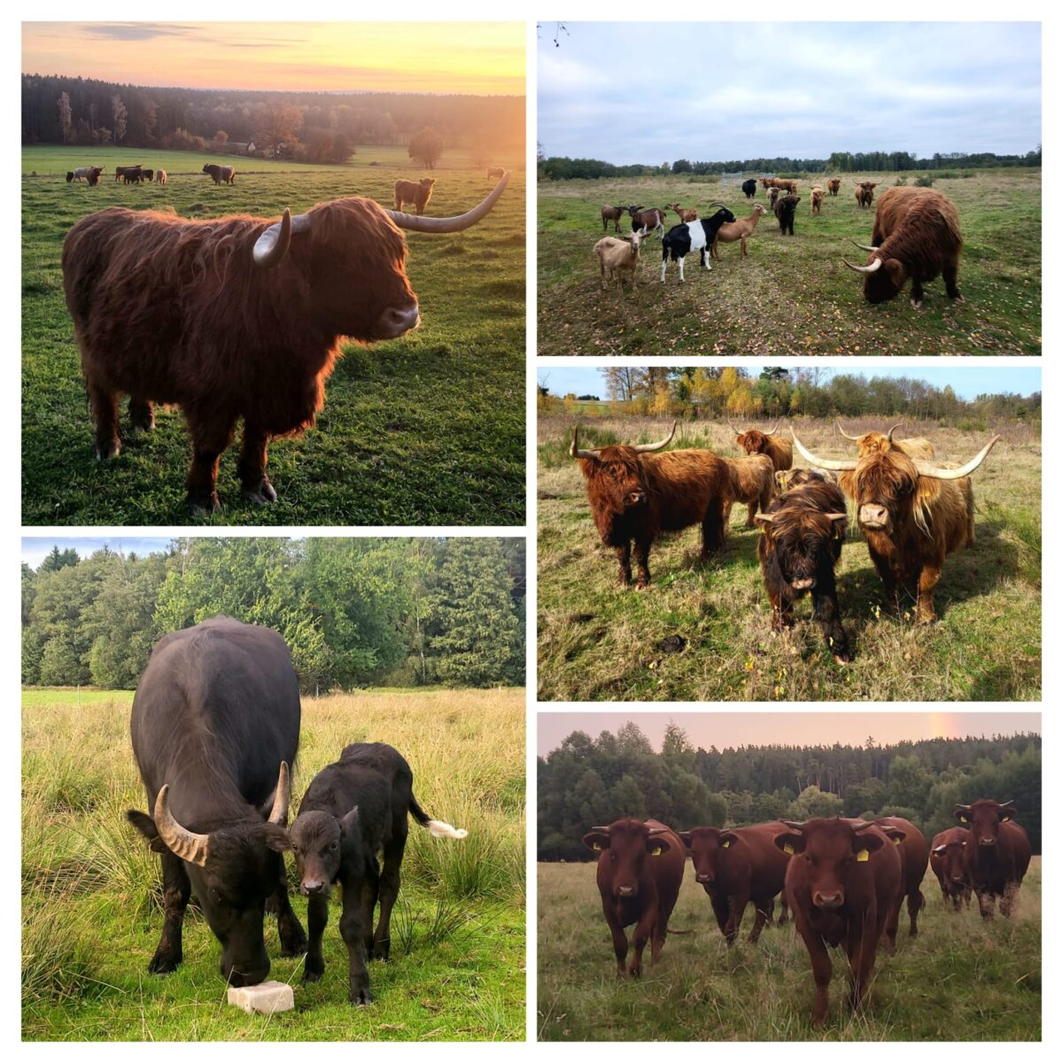 Naturschutzpreis für Familie Wolf aus Immenreuth