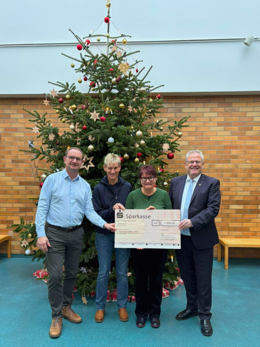 Spende der SWFS über 1.000 Euro an Naab-Werkstätten Schwandorf