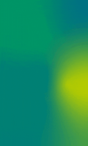 VGN Nürnberg – Phase1