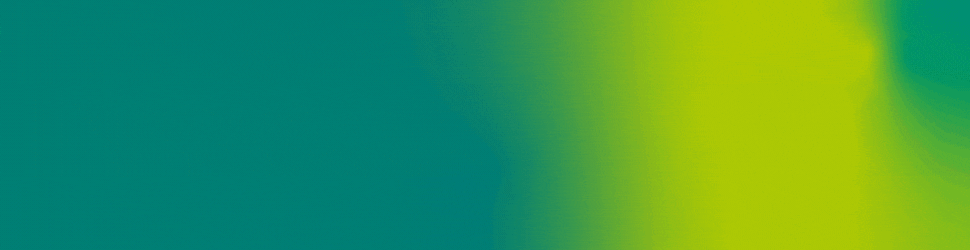 VGN Nürnberg – Phase1