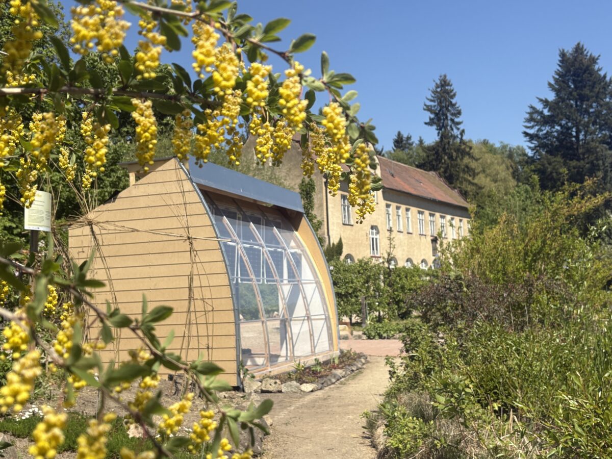 Öffnung Kloster- und Naturerlebnisgarten