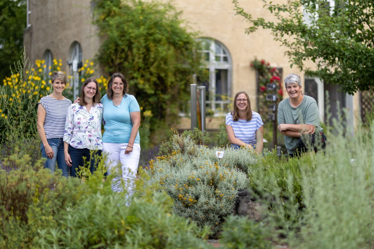 Kräuterfestival mit Handwerkskunst- Tag der offenen Gartentür