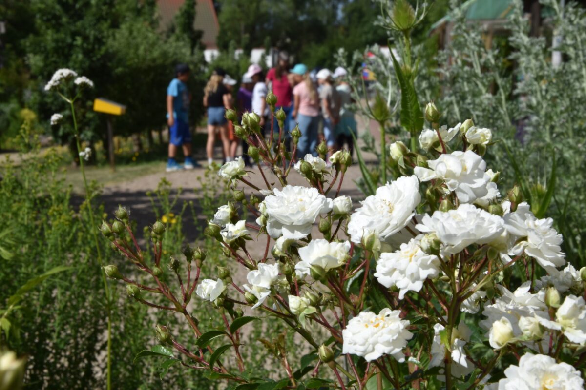 Vorlesestunde der Bücherei an einem besonderen Ort