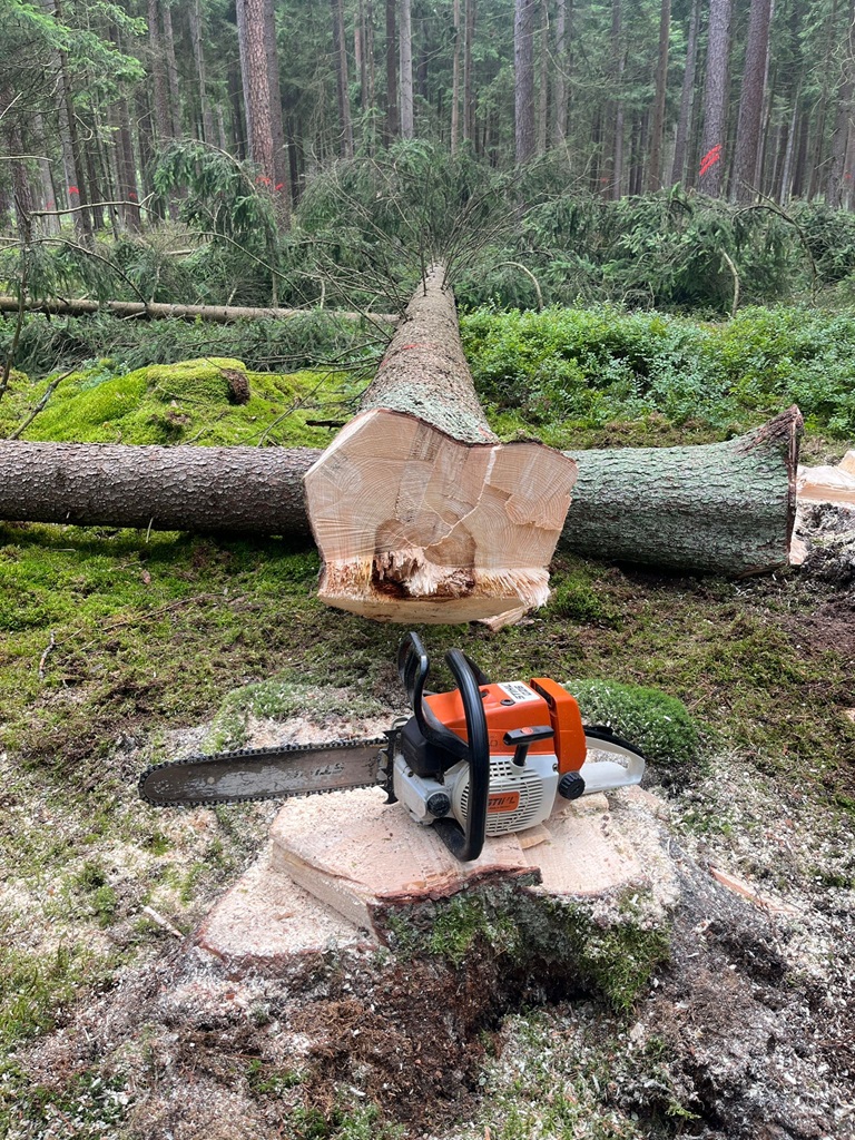 Motorsägenkurs für Waldbesitzer und Brennholz-Selbstwerber
