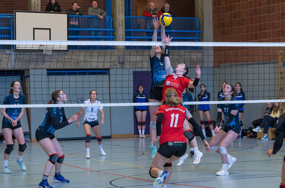 TB-Weiden-Volleyballerinnen unterliegen erneut in der Landesliga