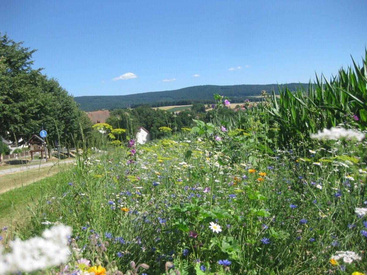 Online-Infoveranstaltung zu KULAP und VNP