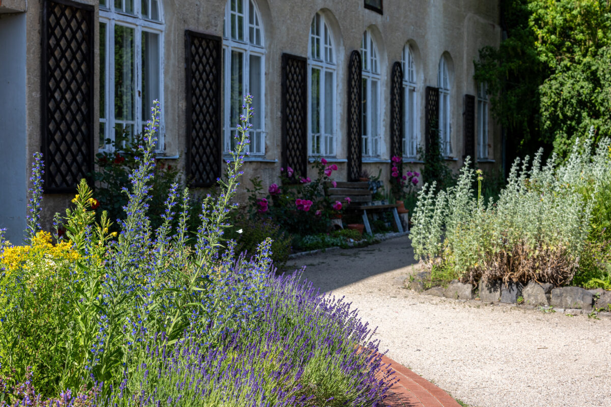 Führung für Familien durch unseren Kloster- und Naturerlebnisgarten der Abtei Waldsassen