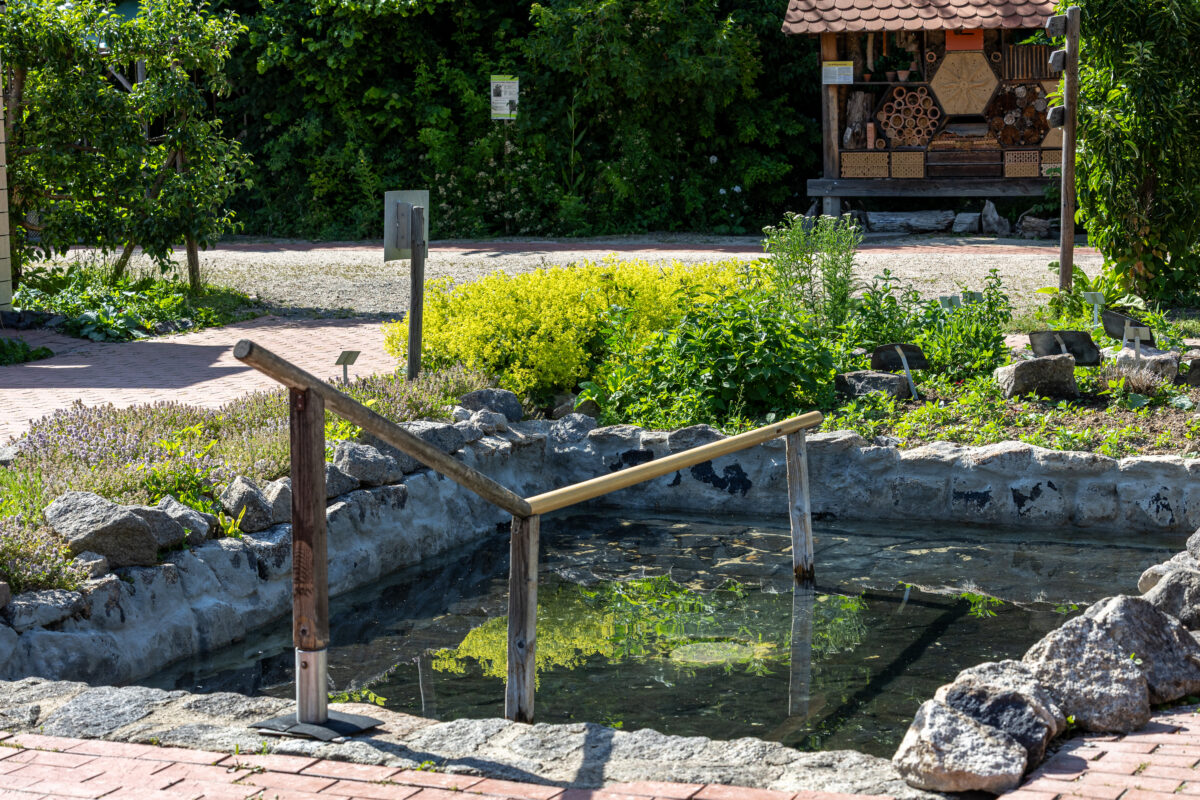 Erfrischend gesund - Kneipp-Führung im Kloster- und Naturerlebnisgarten