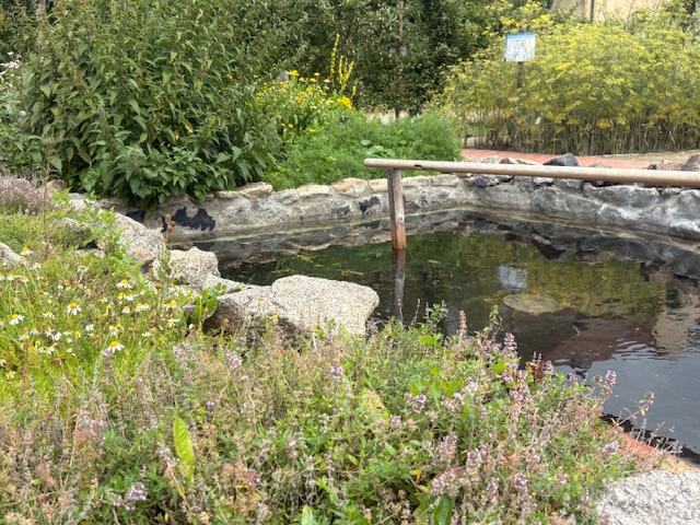 Erfrischend gesund - Kneipp-Führung im Kloster- und Naturerlebnisgarten