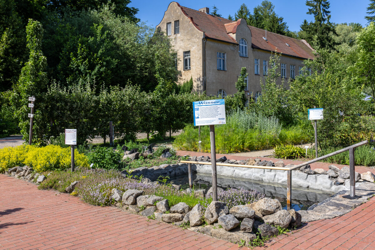 Erfrischend gesund - Kneipp-Führung im Kloster- und Naturerlebnisgarten