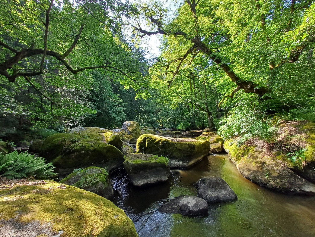 Kurz notiert: Lappersdorf-Kareth - Wandern ohne Auto