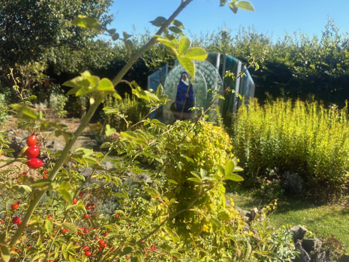 Führung durch unseren Kloster- und Naturerlebnisgarten