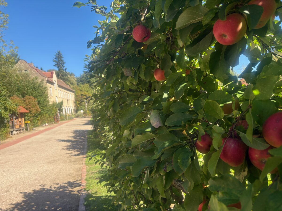 Führung für Familien durch unseren Kloster- und Naturerlebnisgarten der Abtei Waldsassen