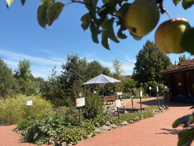 Führung durch unseren Kloster- und Naturerlebnisgarten