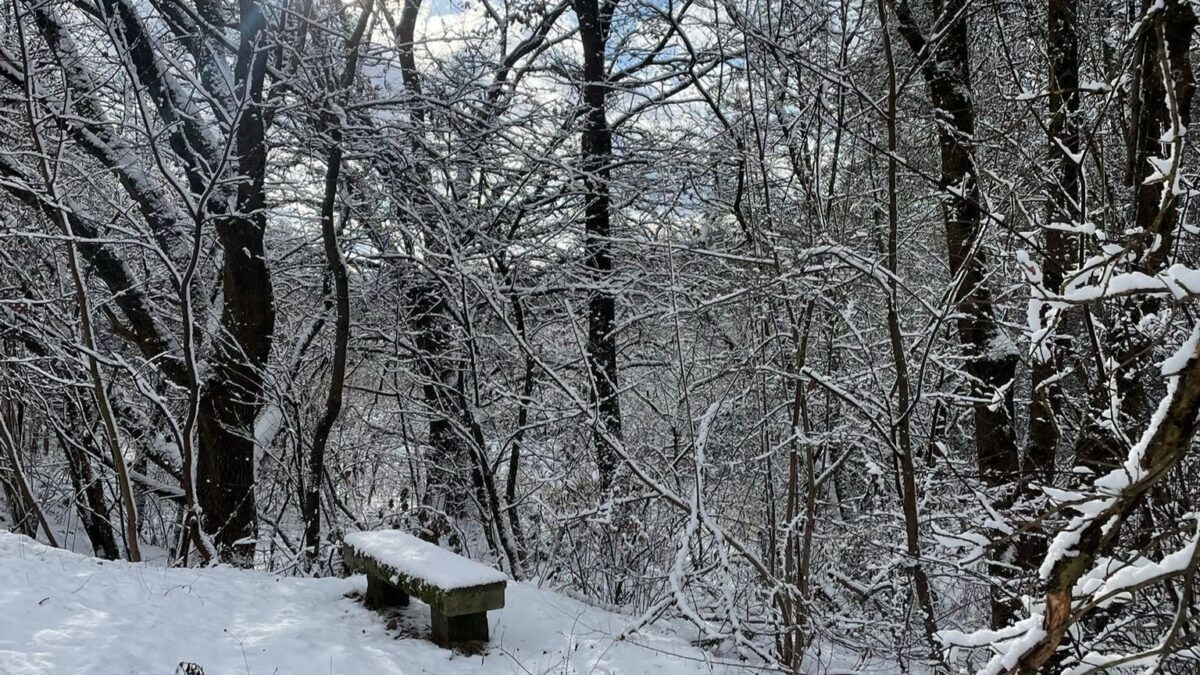 Wintereinbruch: Glätte sorgt für einzelne Einsätze in der nördlichen Oberpfalz