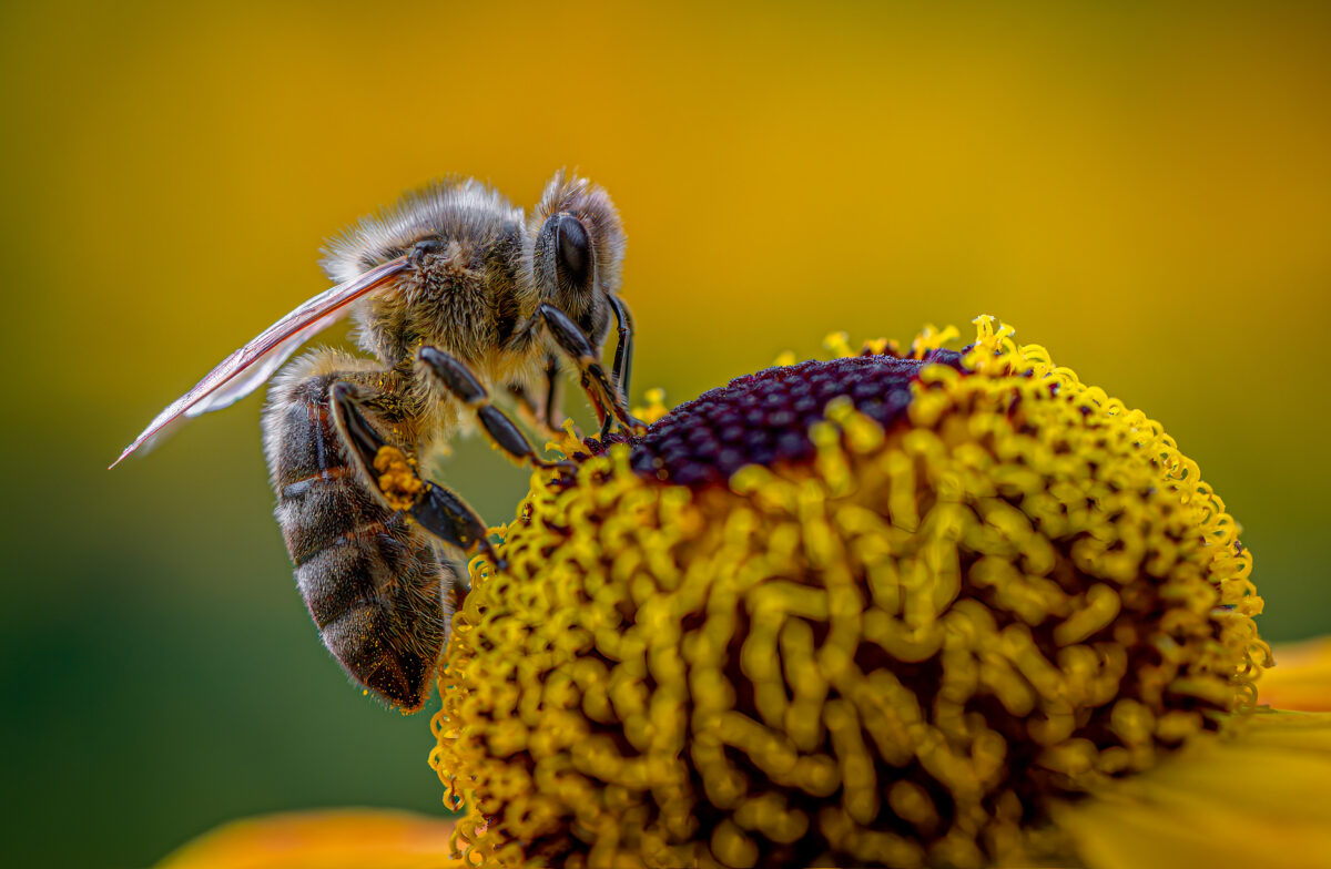 Tipps für bessere Bilder beim Fotovortrag in Tirschenreuth