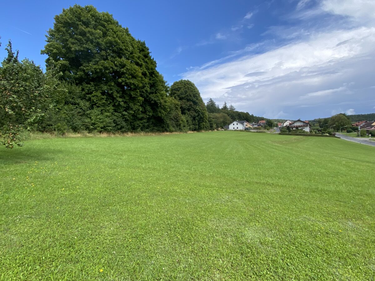 Bebauungsplanverfahren für Baugebiet "Am Kohlbuch II" wird neu gestartet