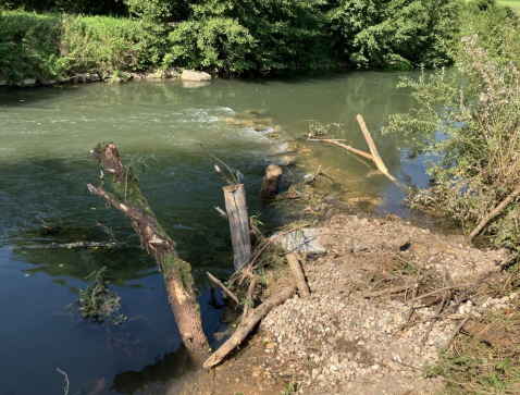 Arbeiten an der Pfreimd bei Trausnitz fördern Artenvielfalt