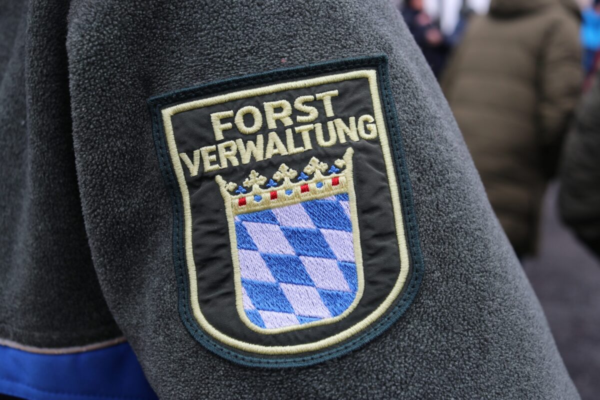 Sammelberatung zum Thema „Kiefernwald im Klimawandel“