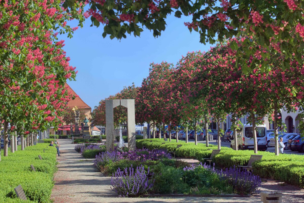 (Neu)Bürgerführung