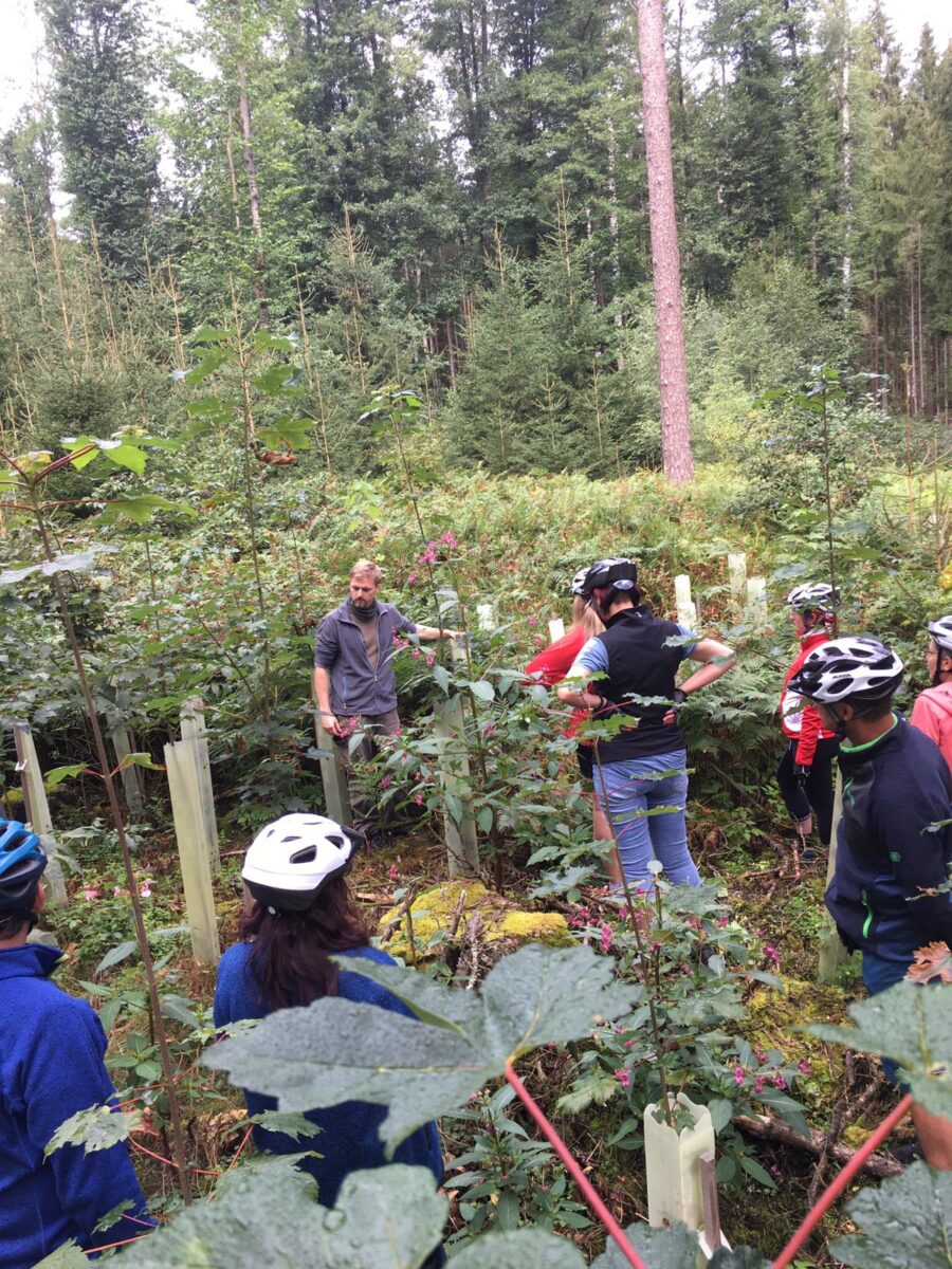 Unser Wald - mit dem Stadtführer unterwegs (Radtour)