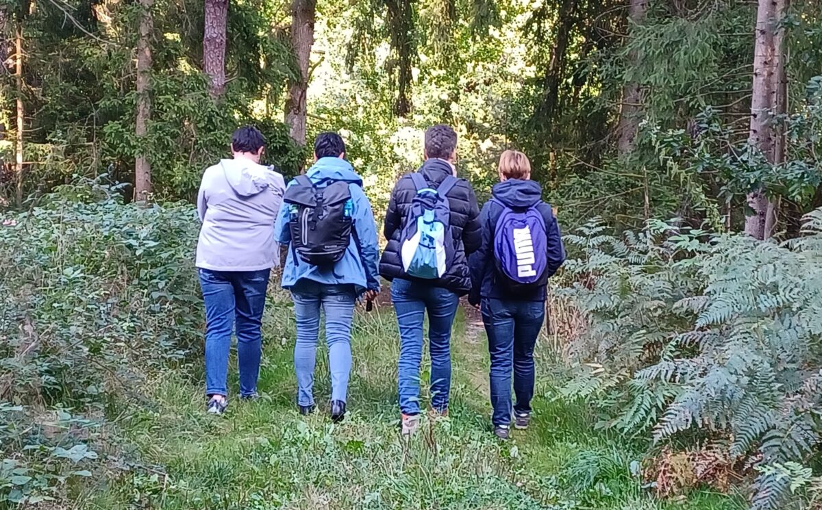 Wald tut gut, Natur erleben - Ruhe finden
