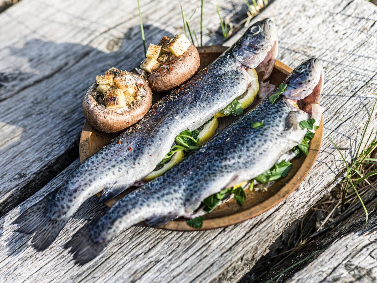 Sonderthema Fisch im Mittelalter im Geschichtspark