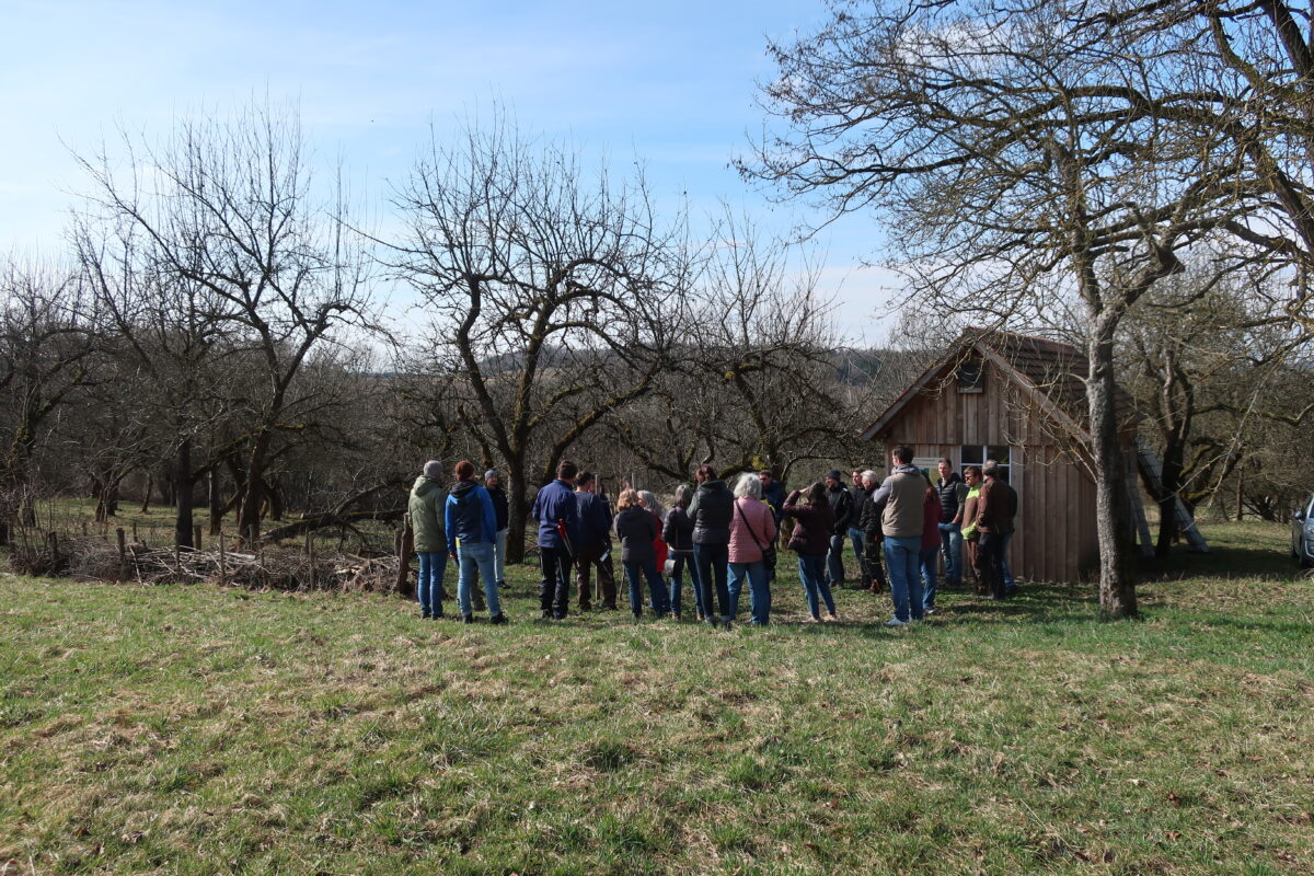 Obstbaumschnittkurs im Haus der Biodiversität in Tännesberg