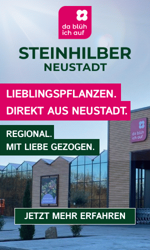 Steinhilber Sidebar
