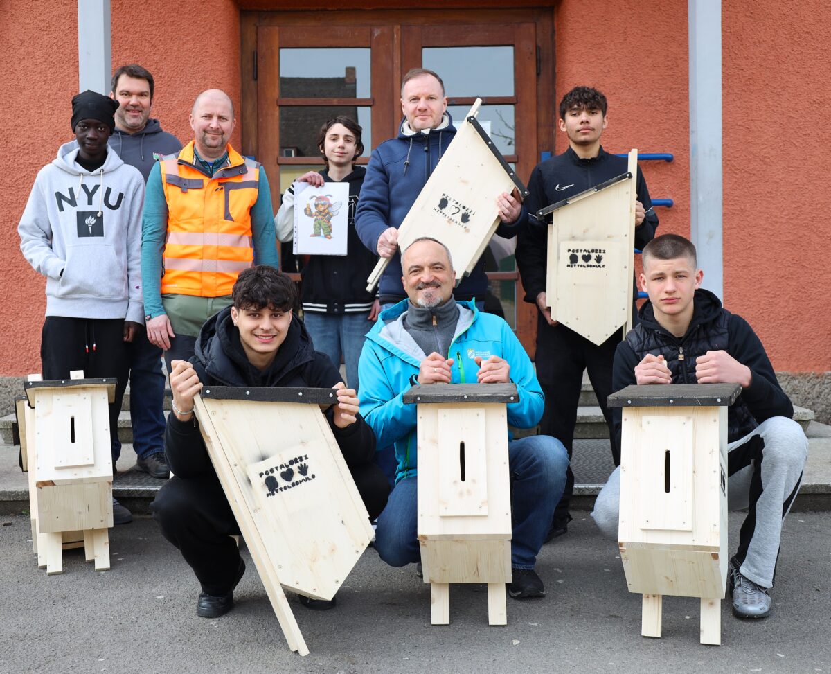 Gezielte Ansiedlung von Hornissen dank Schülerprojekt in Weiden