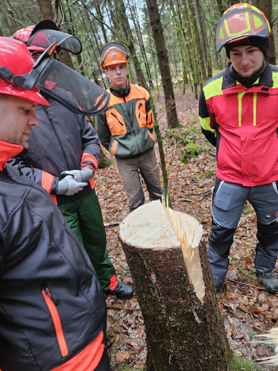 Motorsägenkurs stärkt Einsatzbereitschaft der Feuerwehr in Böhmischbruck