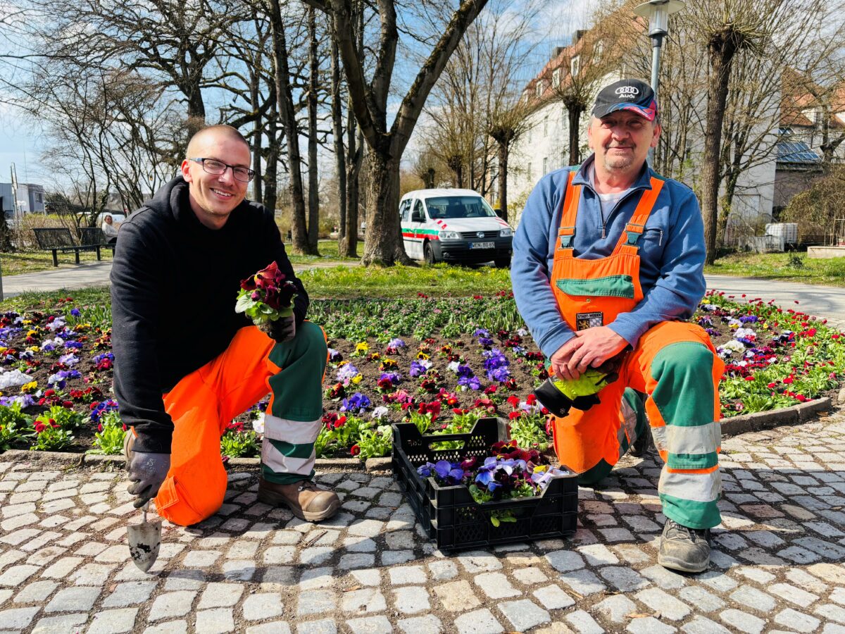 Stadtgärtnerei lässt Weiden erblühen mit 20.000 Frühlingsblühern