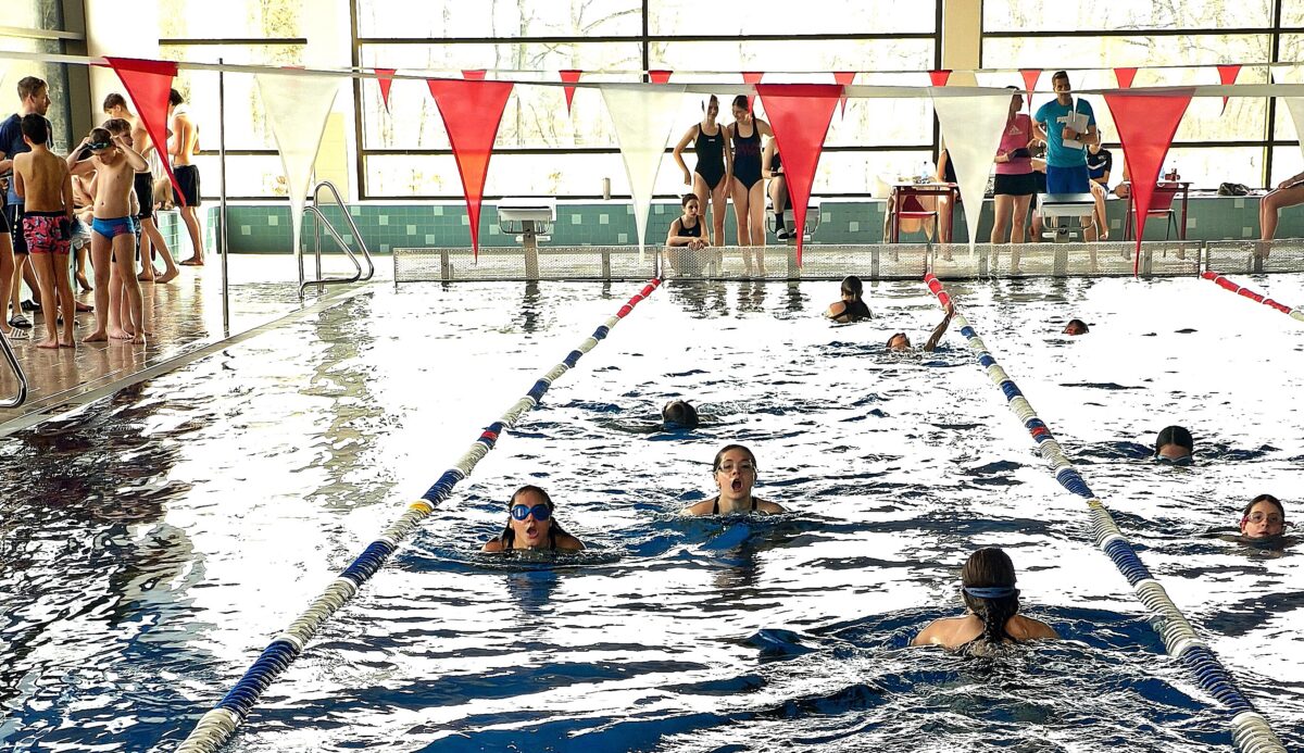 Teamgeist und starke Zeiten beim Schulschwimmen in Weiden