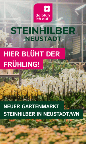 Steinhilber Sidebar