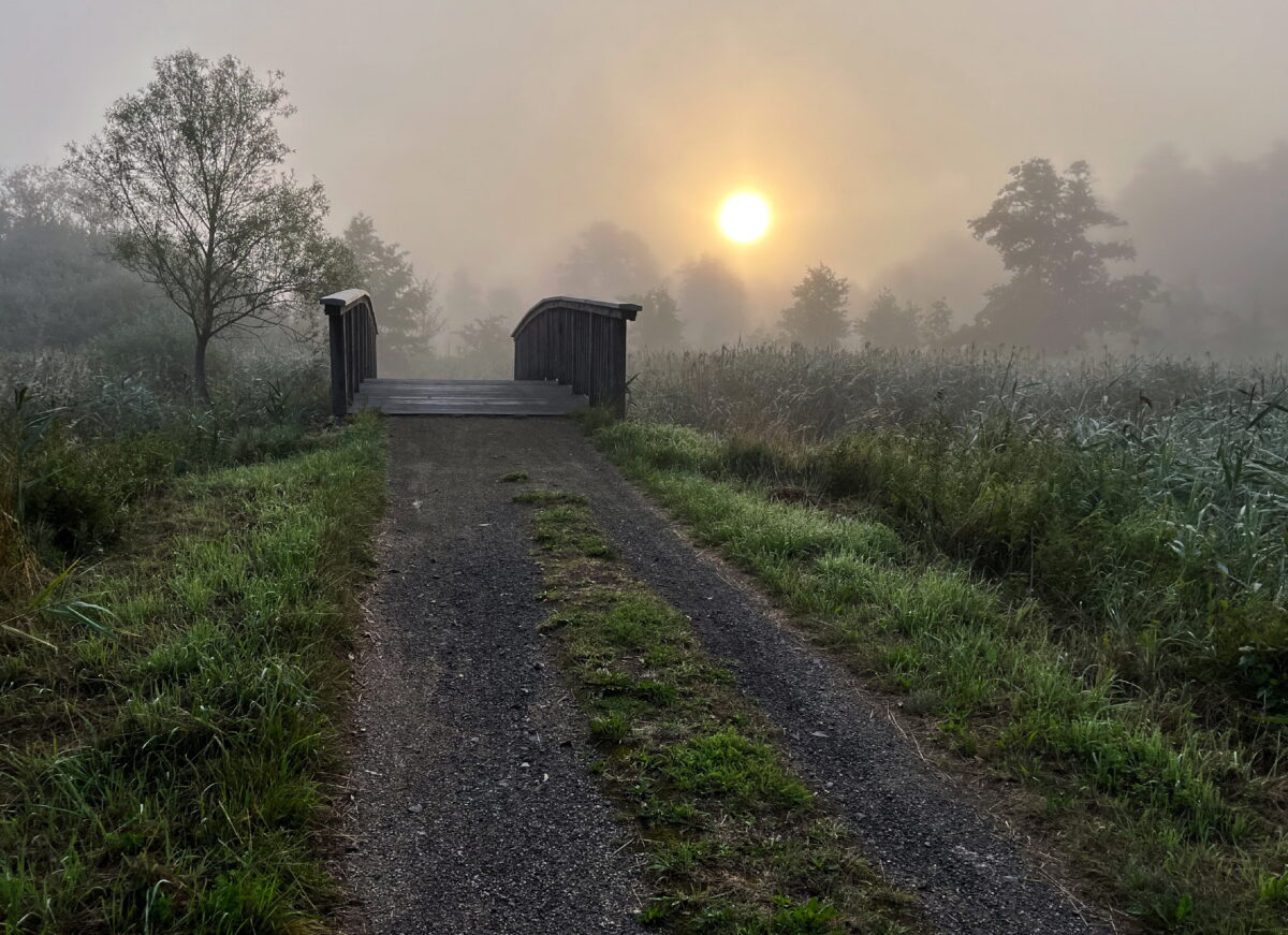 Heimat und Namibia - Fotofreunde laden ein