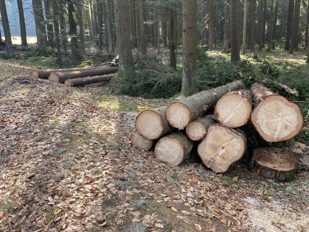 Baugebiet "Am Kohlbuch II" geht voran