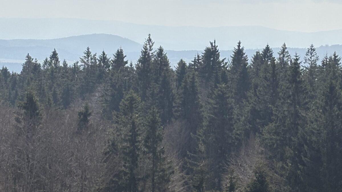 Entwarnung: Vermisster (87) aus Tirschenreuth in Tschechien gefunden