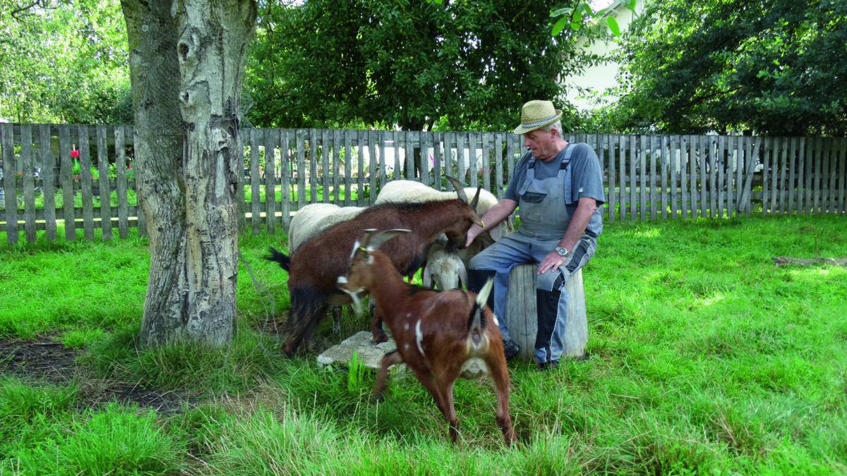Infoveranstaltung soziale Landwirtschaft in Weiden