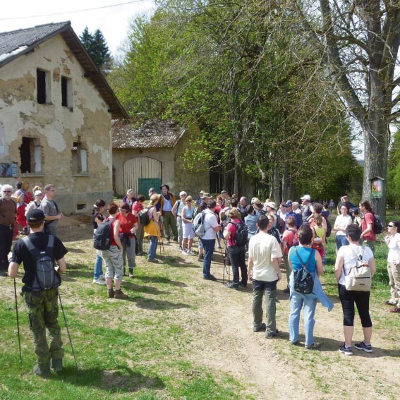 Frühlingswanderung auf der Goldenen Straße