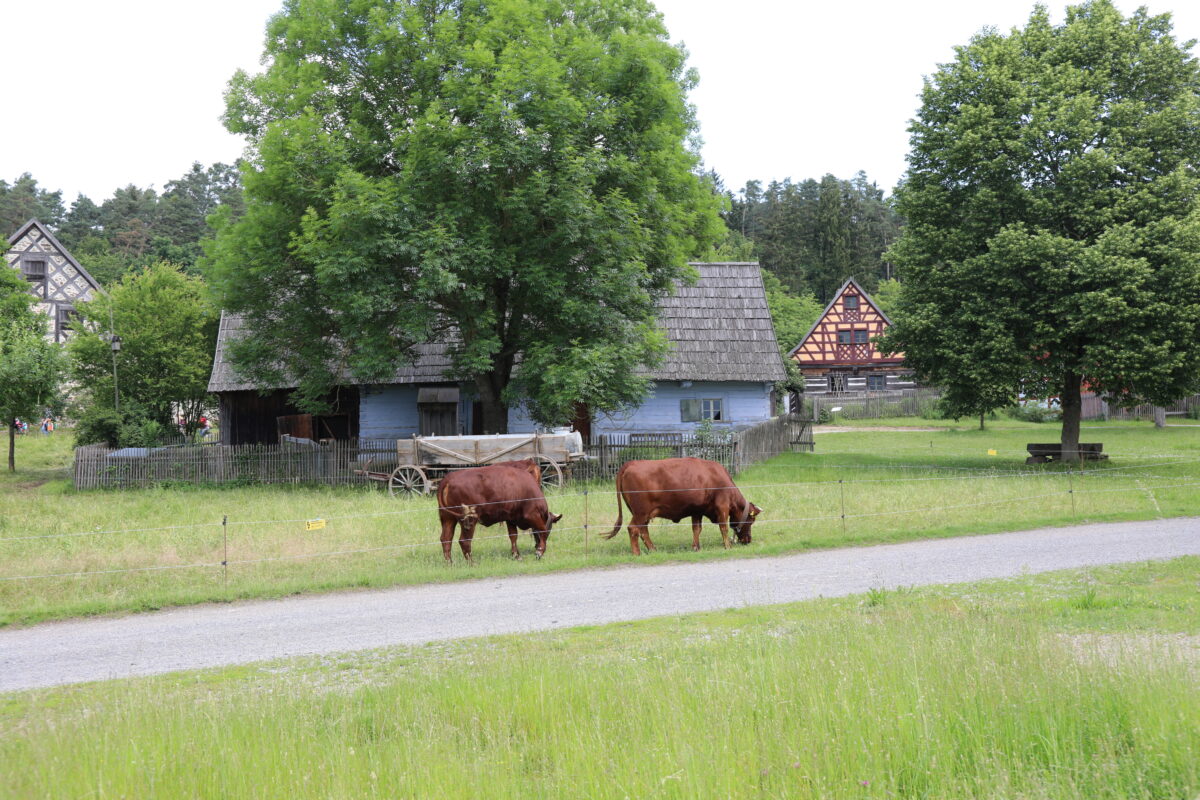 Aktionstag der Freilichtmuseen im Freilandmuseum Oberpfalz in Nabburg