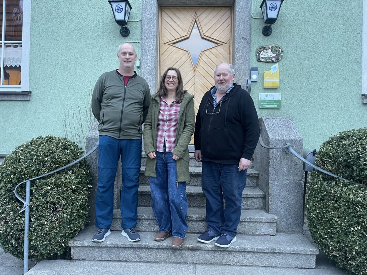 Ameisenschutzverein verlegt Nester wegen SüdOstLink in Tirschenreuth