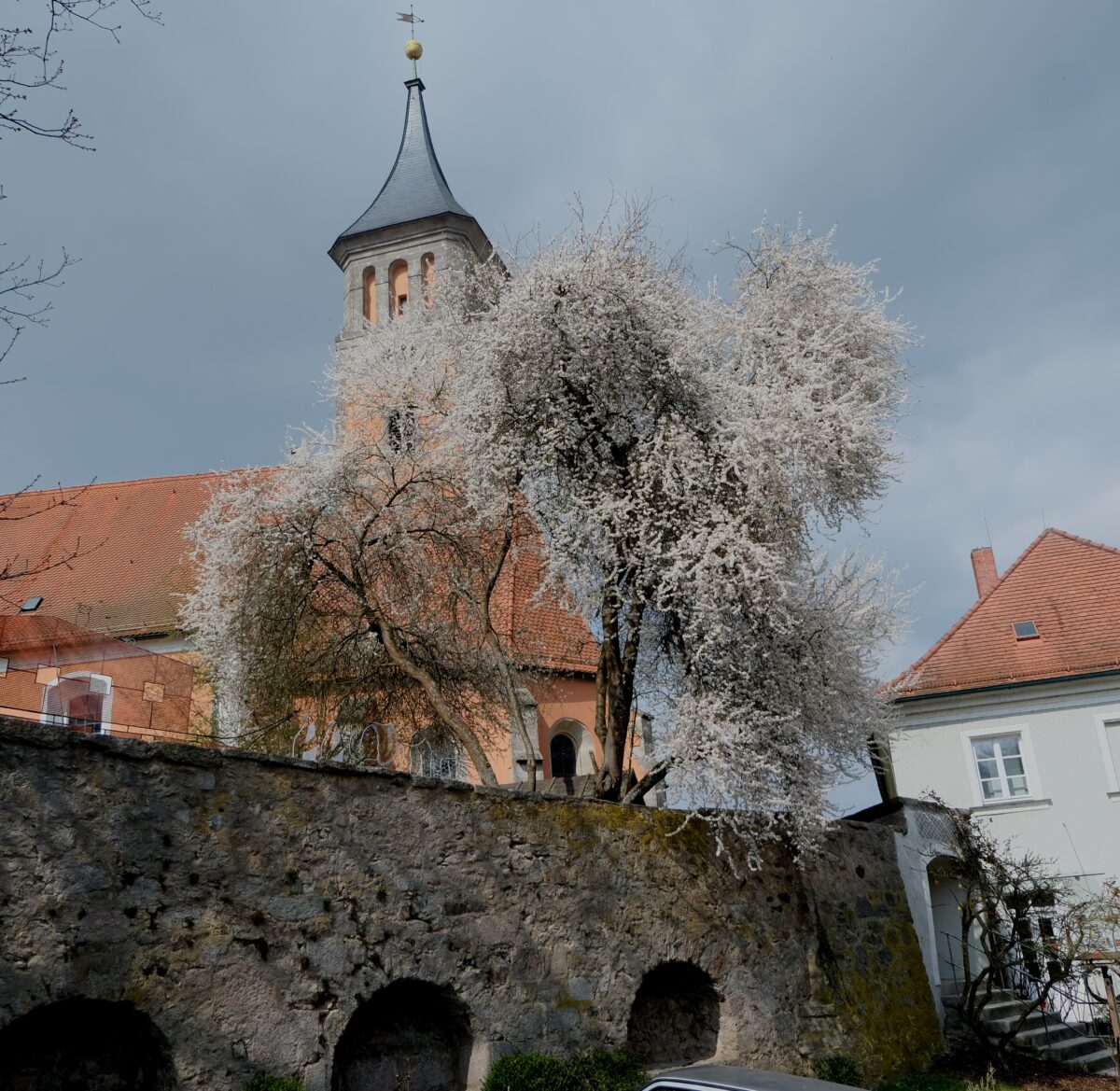 Blütenpracht umrankt St. Johannes Baptista in Floß