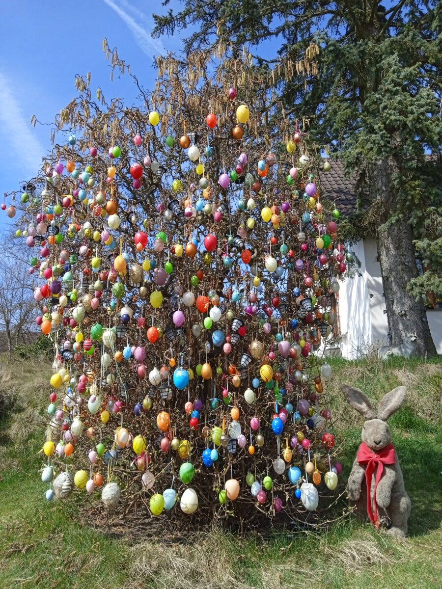 Hunderte Ostereier schmücken Haselnussbaum in Floß